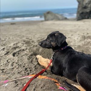 Meet your Posher, Isaac